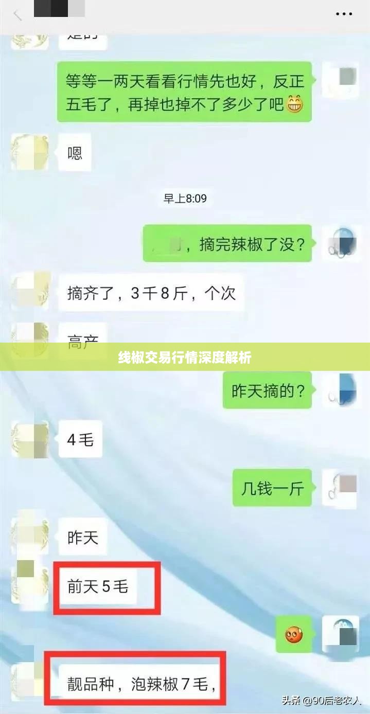 线椒交易行情深度解析