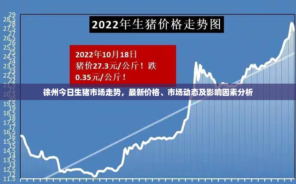 徐州今日生猪市场走势，最新价格、市场动态及影响因素分析