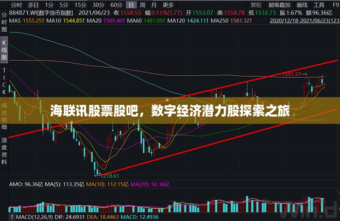 海联讯股票股吧，数字经济潜力股探索之旅