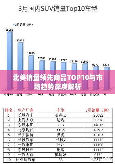 北美销量领先商品TOP10与市场趋势深度解析