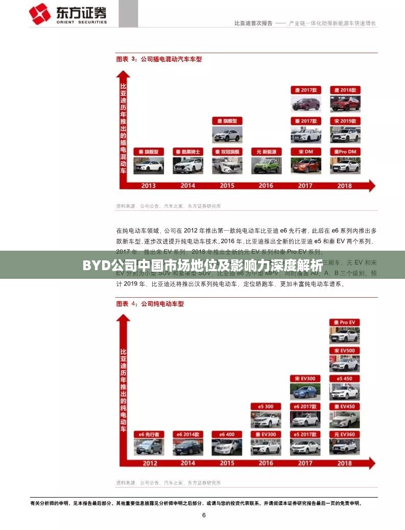 BYD公司中国市场地位及影响力深度解析