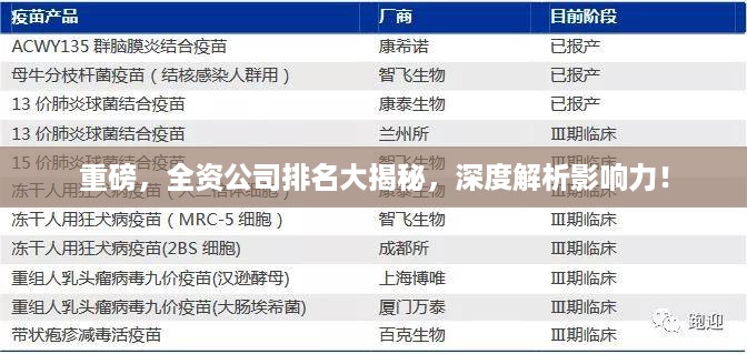 重磅，全资公司排名大揭秘，深度解析影响力！