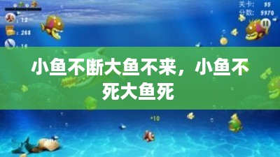 小鱼不断大鱼不来，小鱼不死大鱼死 