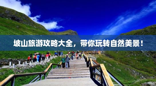 坡山旅游攻略大全，带你玩转自然美景！