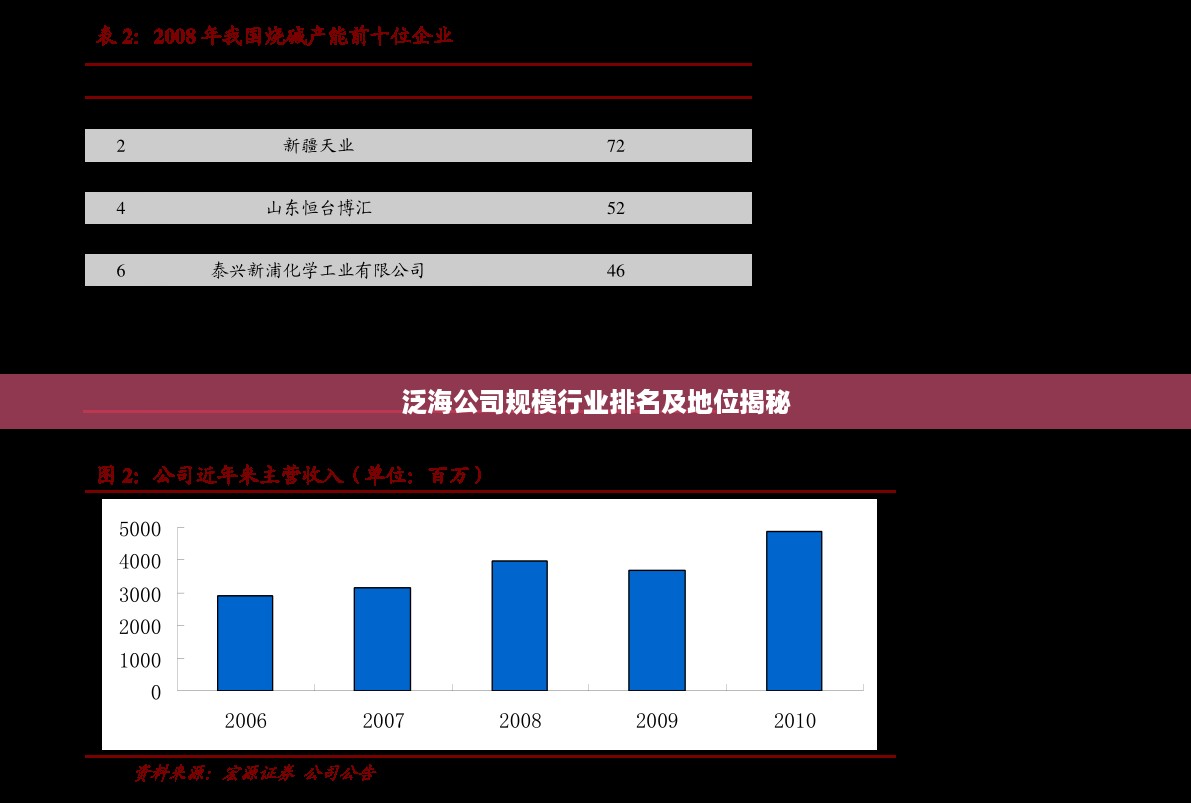 泛海公司规模行业排名及地位揭秘