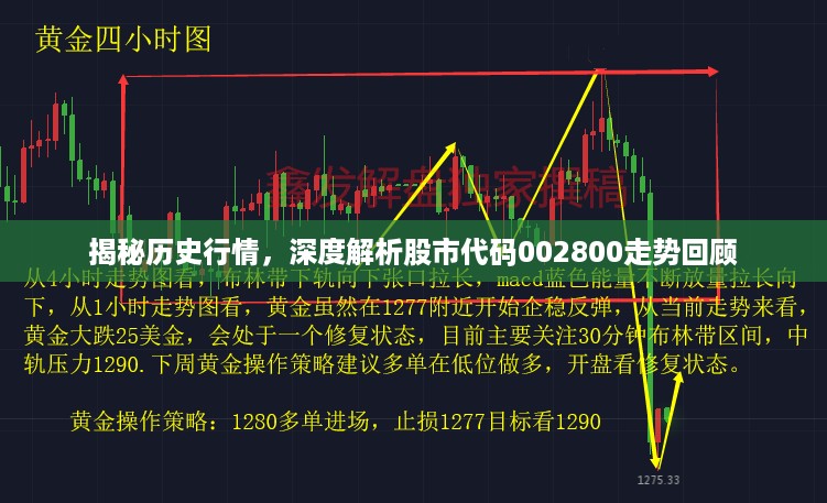 揭秘历史行情，深度解析股市代码002800走势回顾