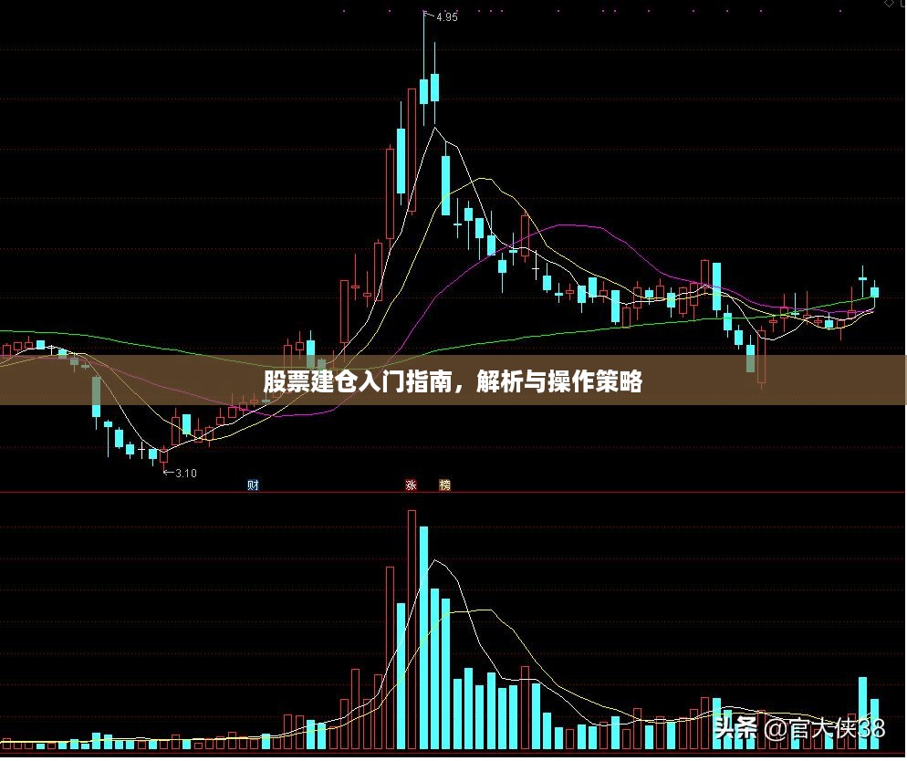 股票建仓入门指南，解析与操作策略