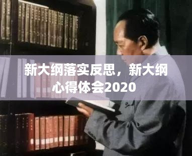 新大纲落实反思，新大纲心得体会2020 