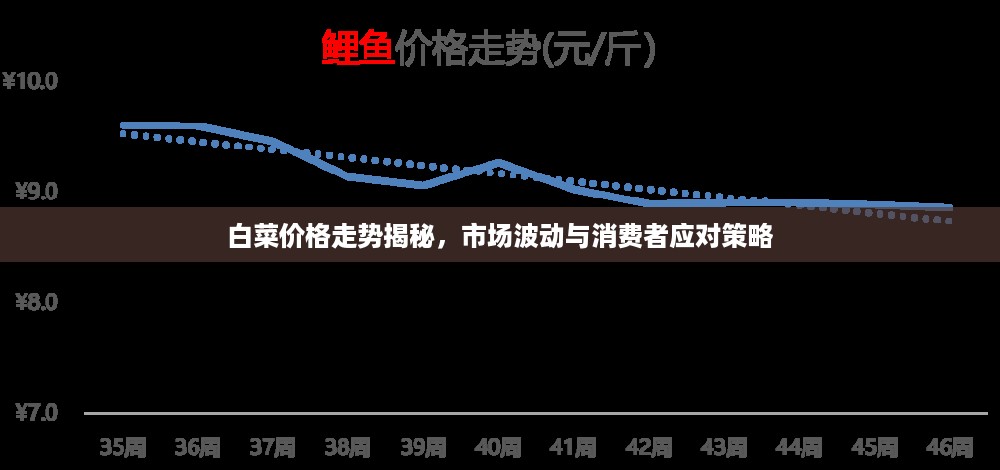 白菜价格走势揭秘，市场波动与消费者应对策略