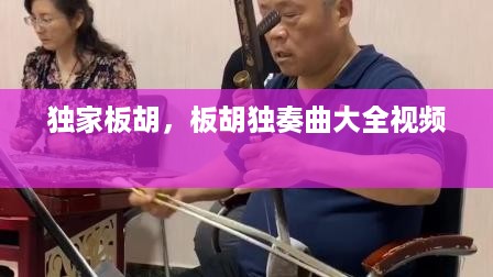 独家板胡，板胡独奏曲大全视频 